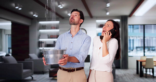 Best Mold removal after water damage  in Good Hope, AL